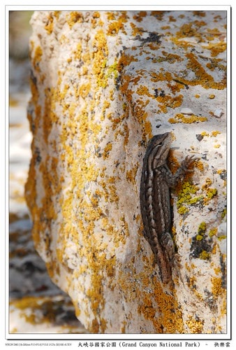 20251103-7wy7e 20251103-7wy7e