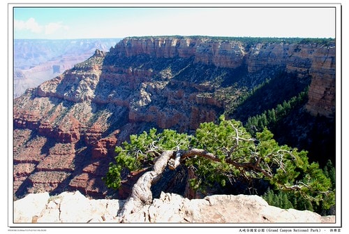 20251103-drdwk 20251103-drdwk