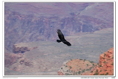 20251103-ivvai 20251103-ivvai