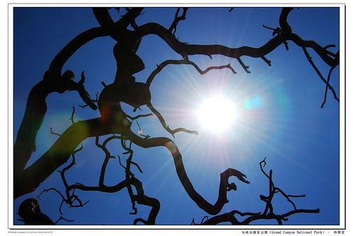 20251103-wstlw 20251103-wstlw