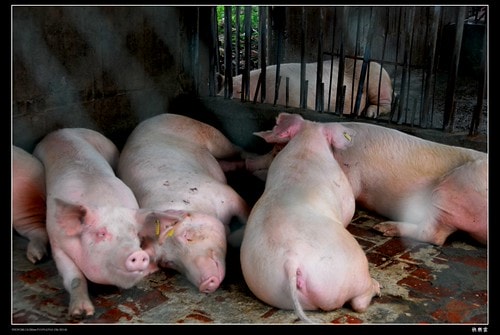 20251103-srl25 20251103-srl25