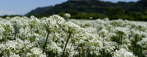 20251103-6gwnf 20251103-6gwnf