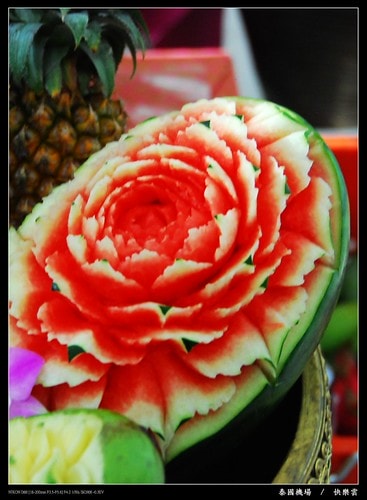 20251103-5gtz1 20251103-5gtz1