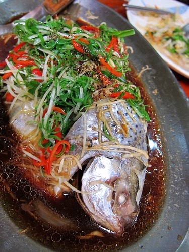 20251103-d559s 20251103-d559s