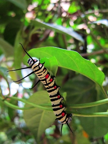 20251103-eq0wb 20251103-eq0wb