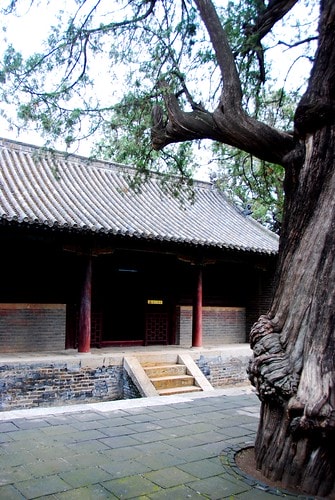 20251103-58kr9 20251103-58kr9