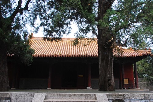 20251103-8lubk 20251103-8lubk