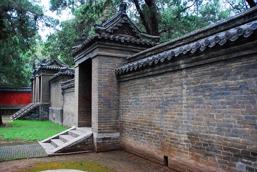 20251103-8mg8d 20251103-8mg8d