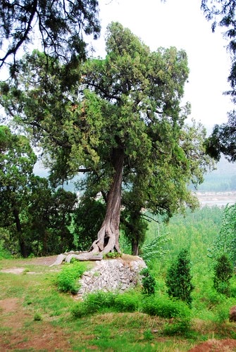 20251103-b9sd6 20251103-b9sd6