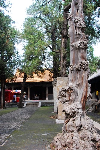 20251103-e0qo6 20251103-e0qo6