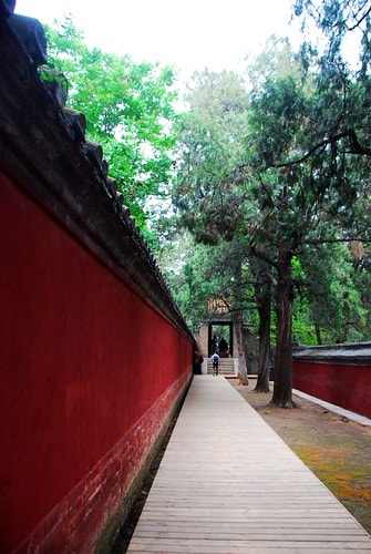 20251103-ml9fy 20251103-ml9fy