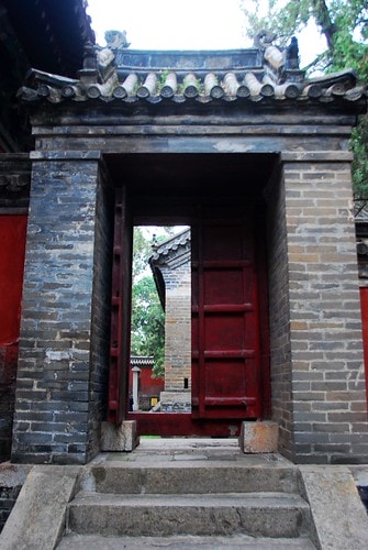 20251103-tn431 20251103-tn431