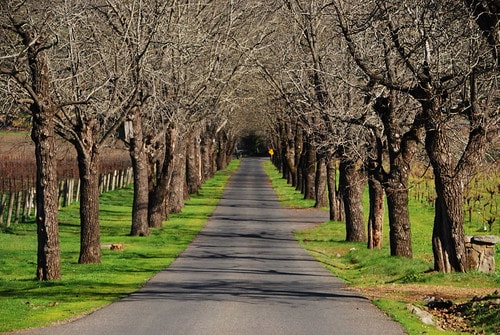 20251103-0psyb 20251103-0psyb