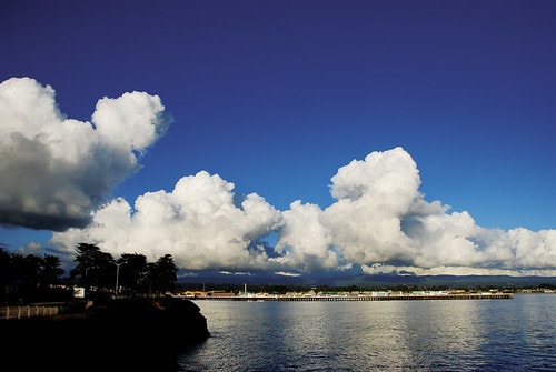 20251103-1w0vd 20251103-1w0vd