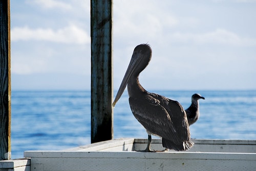 20251103-67itq 20251103-67itq