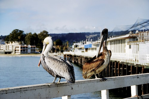 20251103-jsrs7 20251103-jsrs7