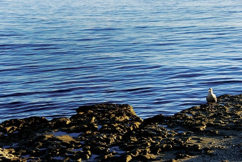 20251103-z0wqg 20251103-z0wqg