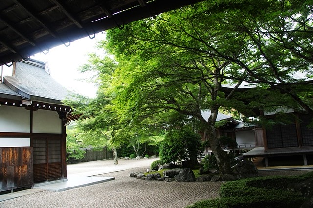 20251103-8amzq 20251103-8amzq