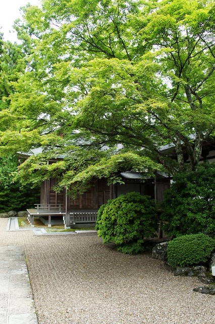 20251103-lkfmb 20251103-lkfmb