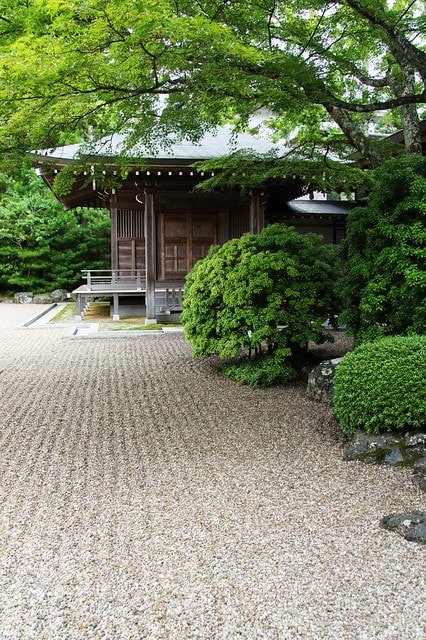 20251103-r4i72 20251103-r4i72