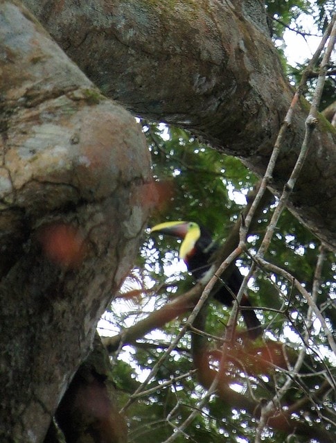 20251103-2kjam 20251103-2kjam