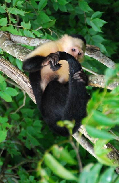 20251103-grmoa 20251103-grmoa