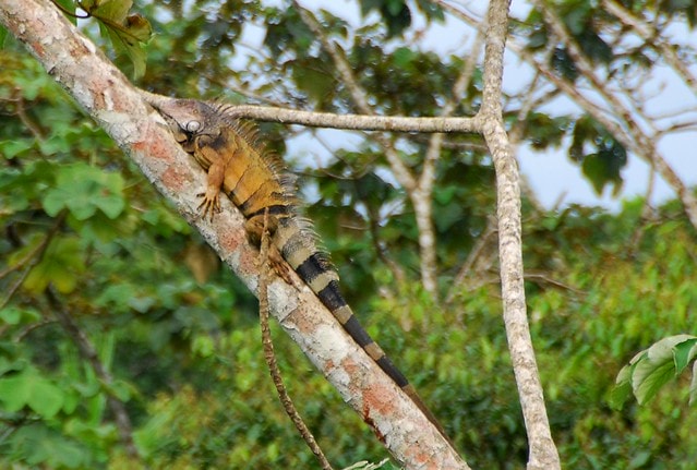 20251103-h4api 20251103-h4api