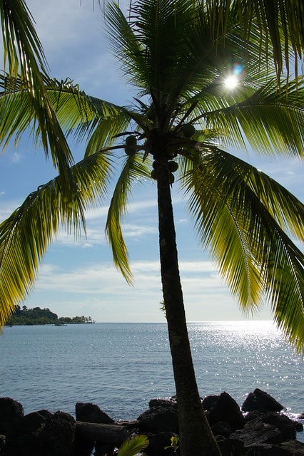 20251103-m4efp 20251103-m4efp