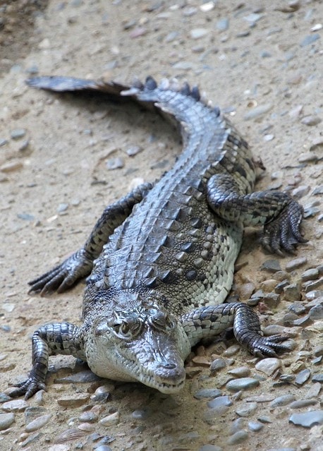 20251103-oir7q 20251103-oir7q