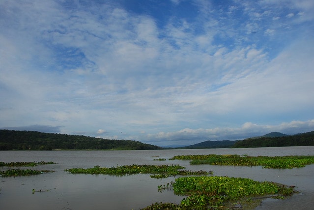 20251103-rn8v4 20251103-rn8v4