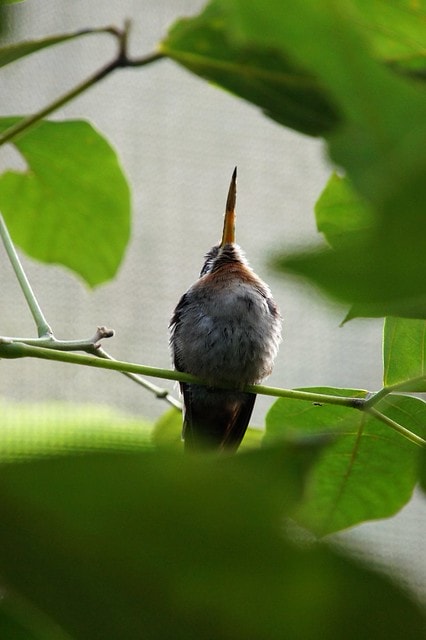 20251103-ssayj 20251103-ssayj