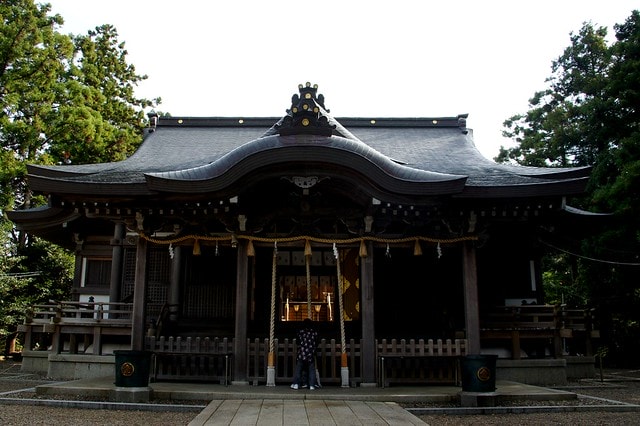 20251103-26sxq 20251103-26sxq