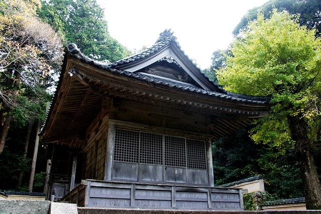 20251103-3myw6 20251103-3myw6