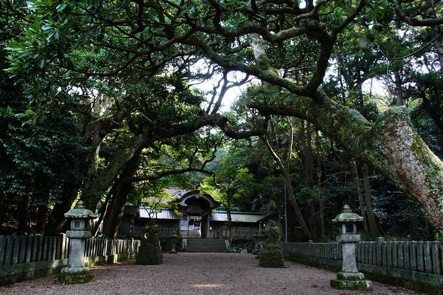 20251103-5jn1y 20251103-5jn1y