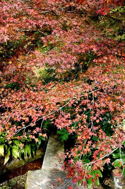 20251103-6m2pg 20251103-6m2pg