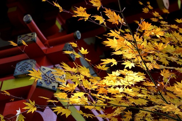 20251103-82usu 20251103-82usu