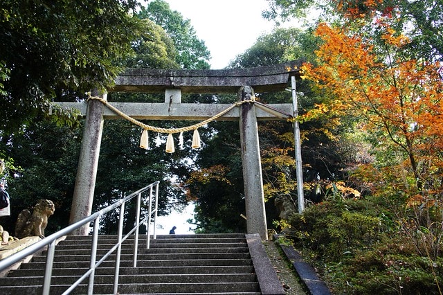 20251103-cdyv8 20251103-cdyv8