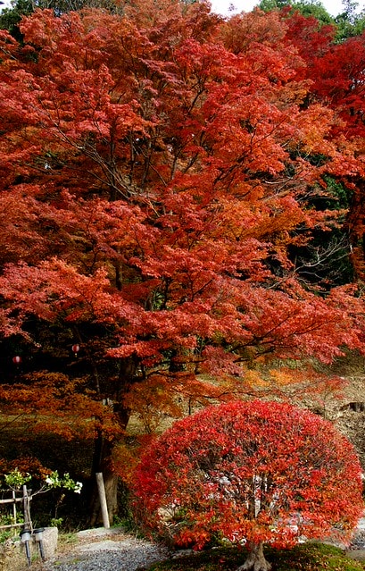 20251103-crr9v 20251103-crr9v