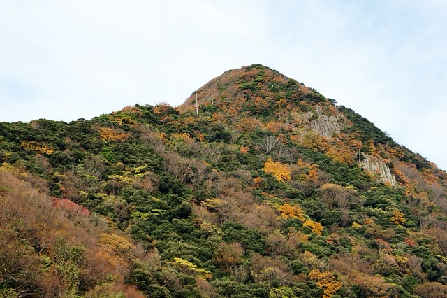 20251103-e097z 20251103-e097z