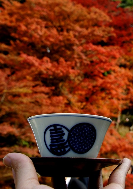 20251103-hriek 20251103-hriek