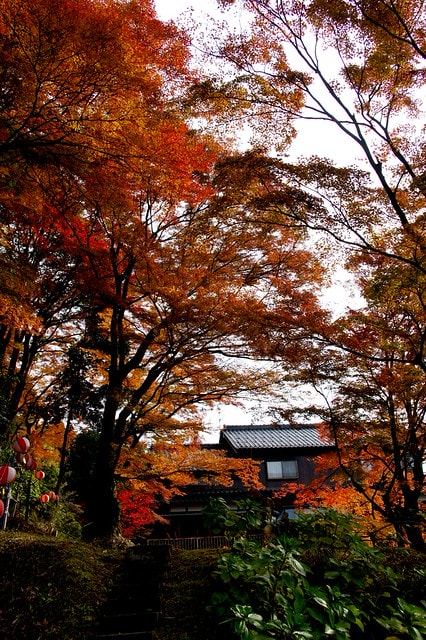 20251103-i8l0g 20251103-i8l0g