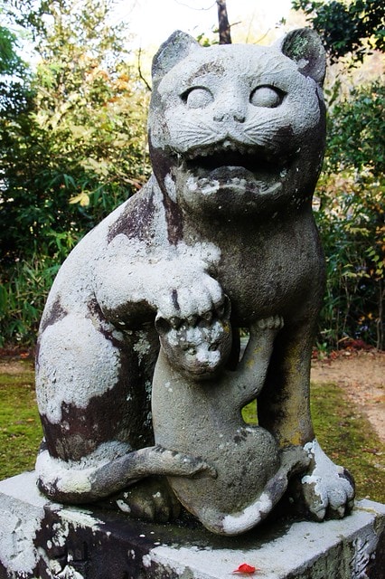 20251103-ibr94 20251103-ibr94