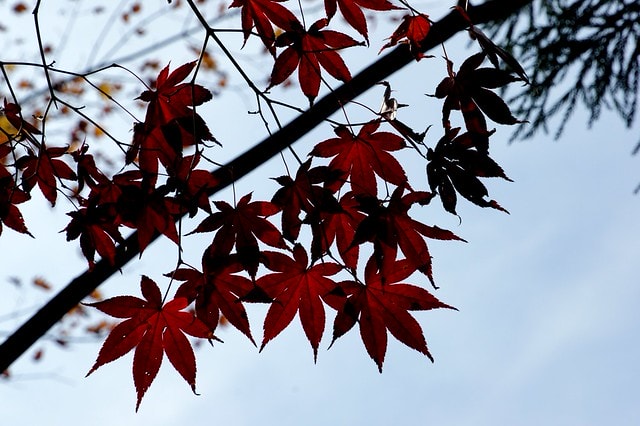 20251103-inetg 20251103-inetg