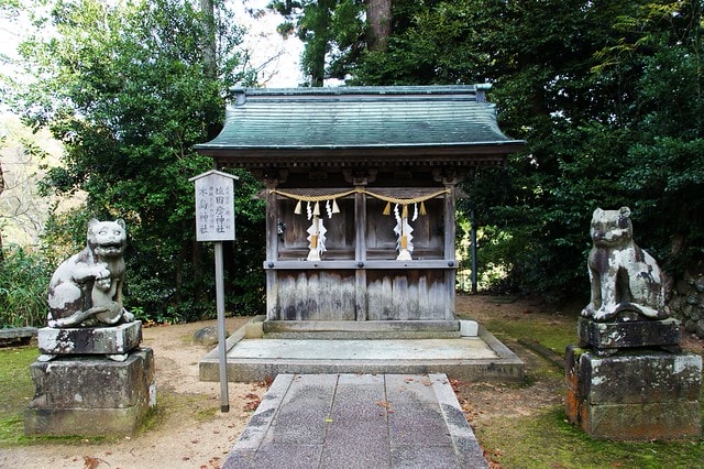 20251103-jxfzz 20251103-jxfzz