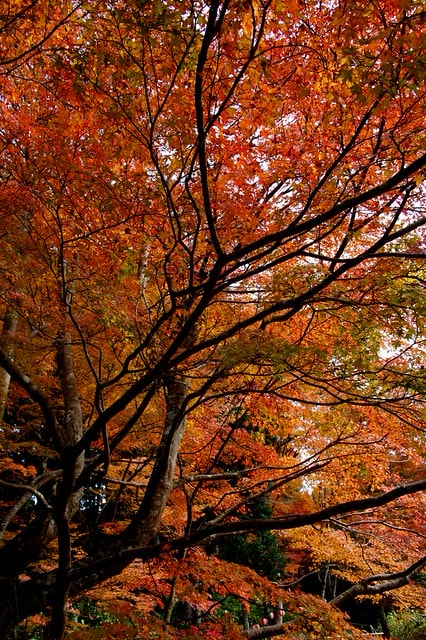 20251103-kg77w 20251103-kg77w