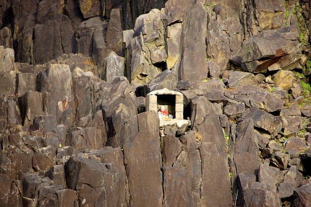 20251103-n6a5r 20251103-n6a5r