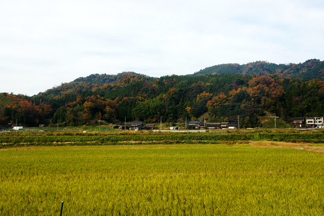 20251103-nhyfb 20251103-nhyfb