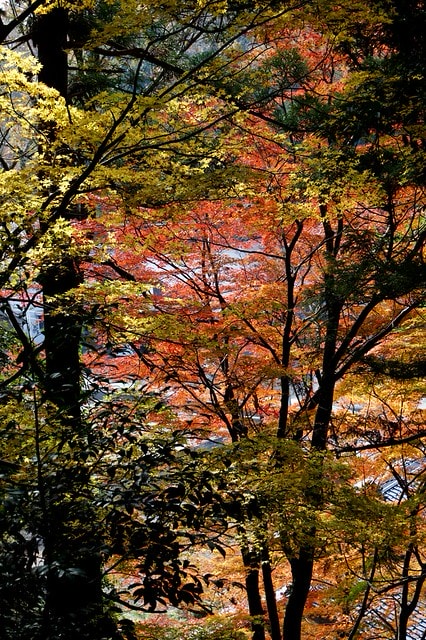 20251103-ome3h 20251103-ome3h