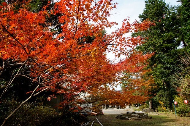 20251103-ramnn 20251103-ramnn