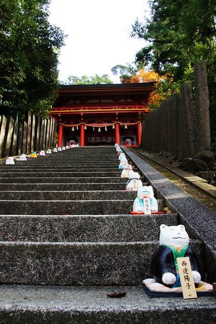 20251103-surv0 20251103-surv0